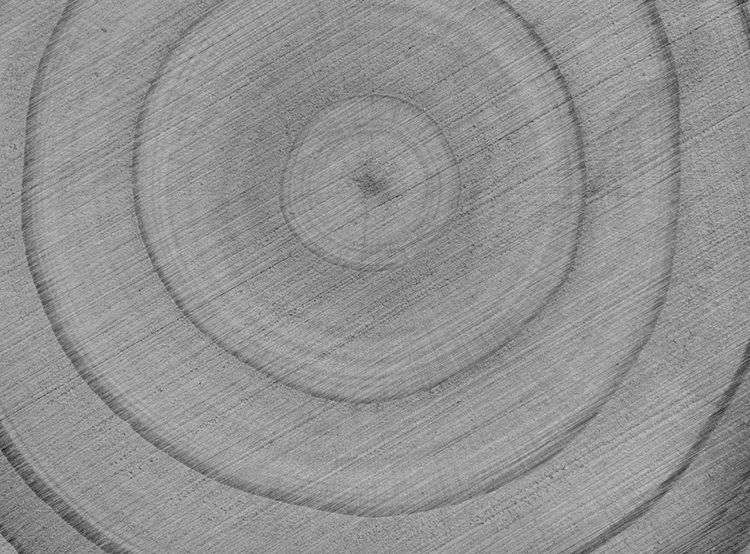 Tree Rings
